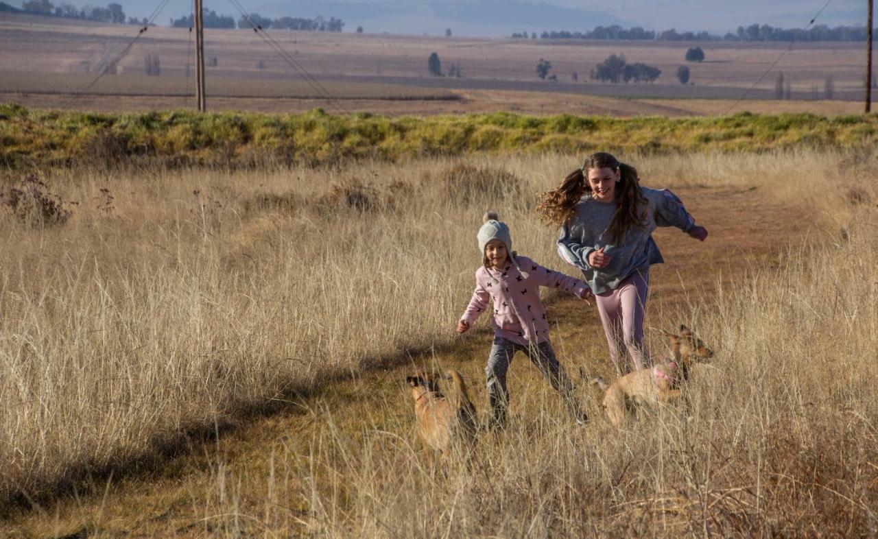 Amohela Ho Spitskop Country Retreat & Conservancy Ficksburg Buitenkant foto